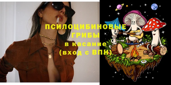 кокс Бородино