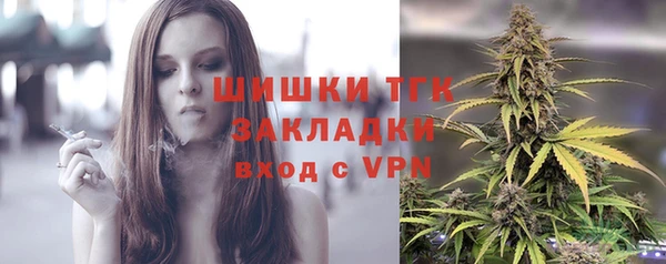 шишки Бугульма