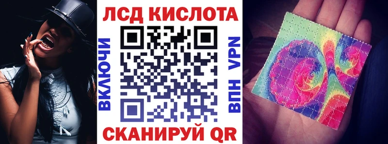 Марки N-bome 1500мкг  мега онион  Новотроицк  купить наркоту 
